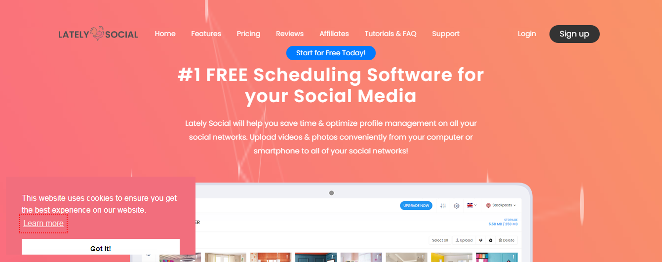  Top Social Media Management Tools 